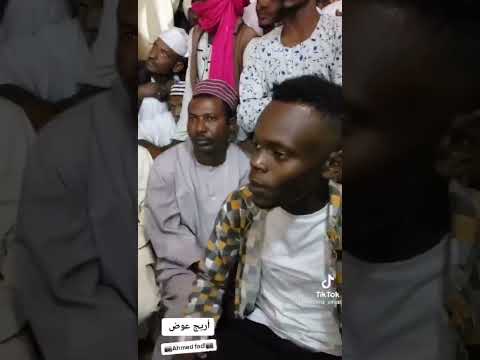 الفنانه اريج عوض خضار القلب سيره الاغاني السودانية عازف الربابه علي ودبرگه اوقن رتو