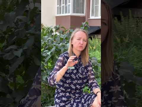 Можно ли сдавать нежилое помещение в аренду как самозанятый