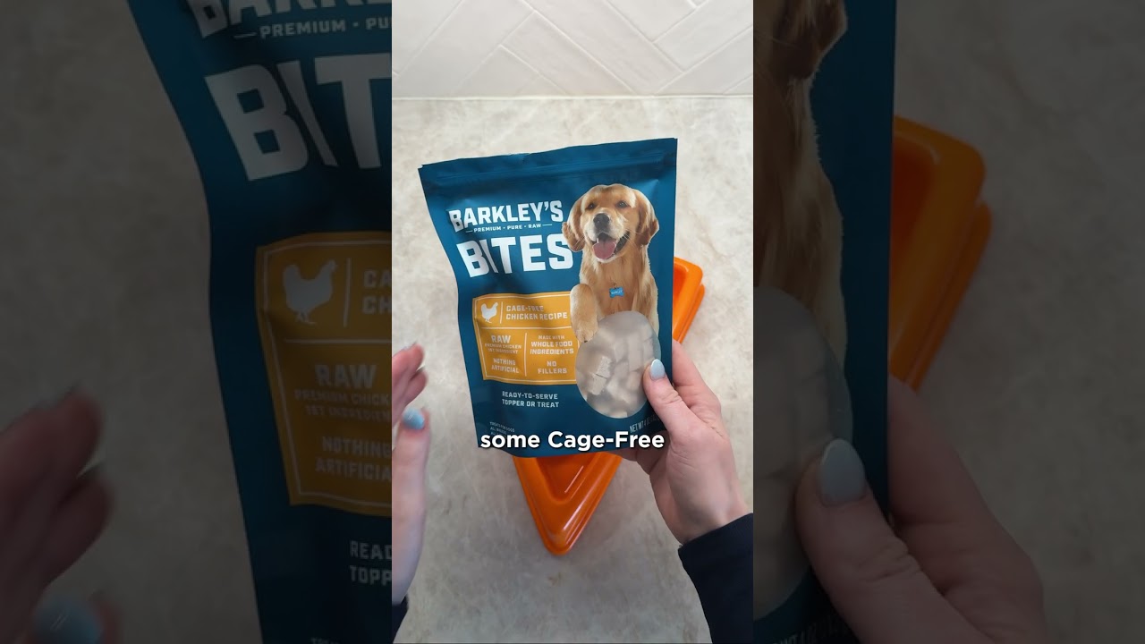 What if I made a Pizza dog bowl? #DogFood