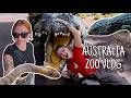 HUGE Crocs and ENDANGERED Snakes | Australia Zoo Vlog 2025
