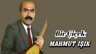 AŞIK MAHMUT IŞIK BİR ÇİÇEK Resimi