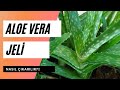 Aloe vera jeli nasıl çıkarılır? Aloe vera jeli nasıl saklanır?