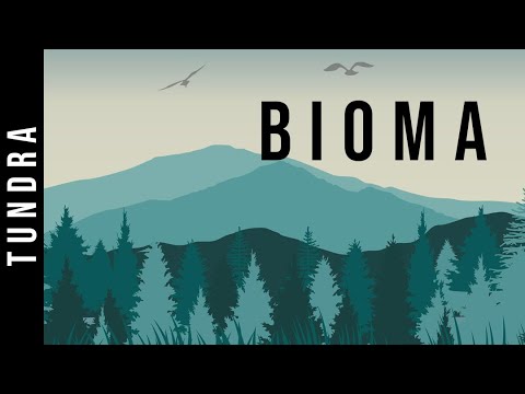 Video: Tundra dan tumbuh-tumbuhan hutan-tundra