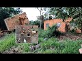 ALGUMAS IDÉIAS QUE EU TENHO PARA FAZER NA CHÁCARA ALUGADA " HORTA E GALINHEIRO"