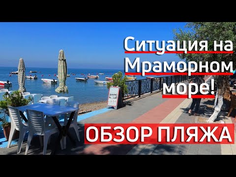 Ситуация на Мраморном море.Обзор пляжа[можно ли купаться]