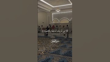 أرأيت الذي ينهى عبداً إذا صلى | تلاوة مصممة | سورة العلق | الشيخ راشد الأركاني