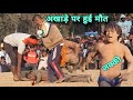   vs    lucky thapa ki new kushti 2024  virat dangal