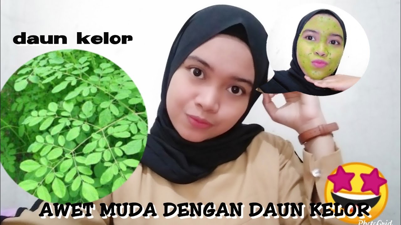 Cara mencegah keriput pada wajah dengan bahan alami | masker daun kelor