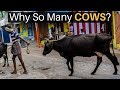 Why is Weed banned in India? - YouTube
