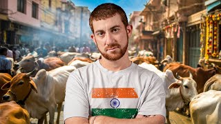 Why Are There So Many Cows In India?