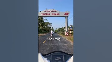 Đi qua 4 Tỉnh tìm bắt Rắn Cắn Ch.ết Ch.ó  #snake #saamp #daohangbatran