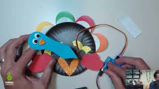 Simple Robot Kit - Make any craft into a robot using servo motors!  Robot Turkey example