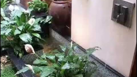 tham biet thu tai CIPUTRA.flv