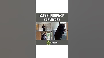 Professional Property Surveyor