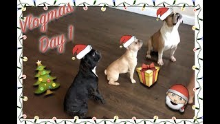 VLOGMAS 2017 DAY 1! | OUR NEW HOME! VLOGMAS 2017 DAY 1! | OUR NEW HOME!