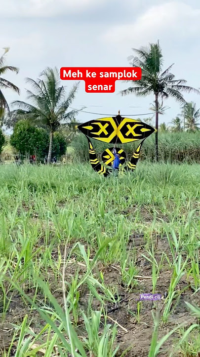 Tingginya 3 meter cukup 1 orang #kite