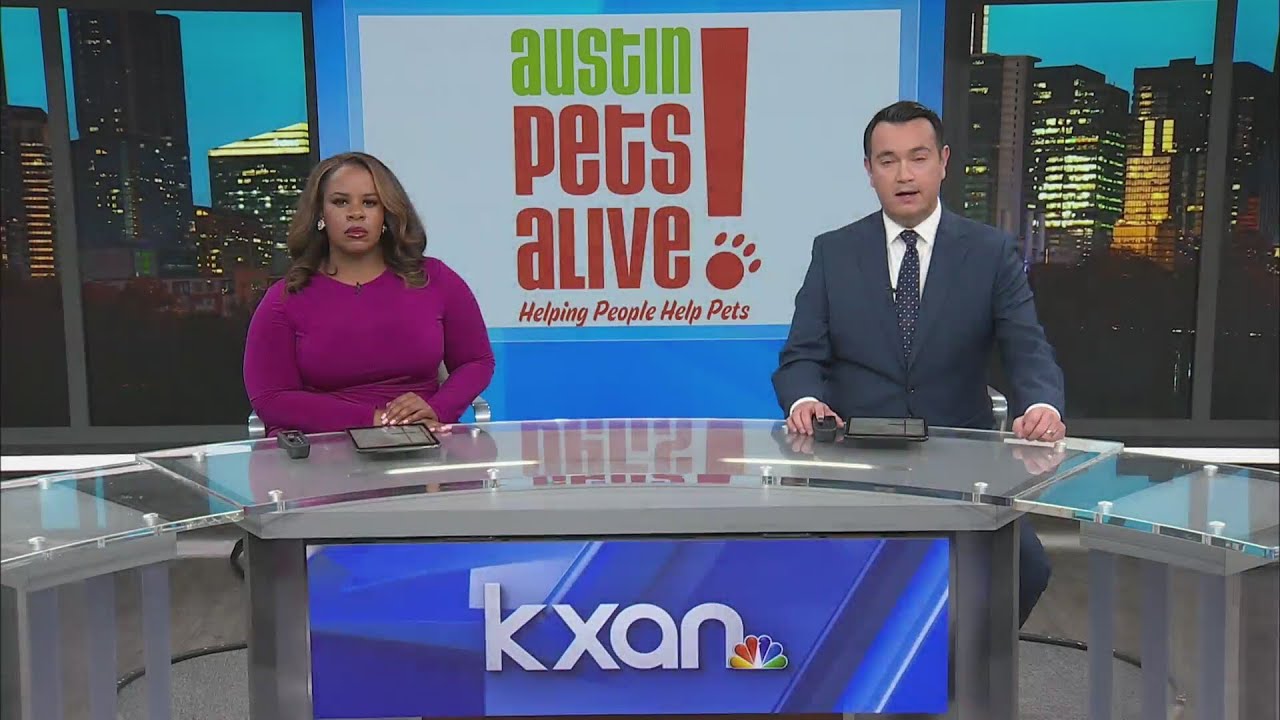 Austin Pets Alive! lays off 20 staff members due to 'economic ...