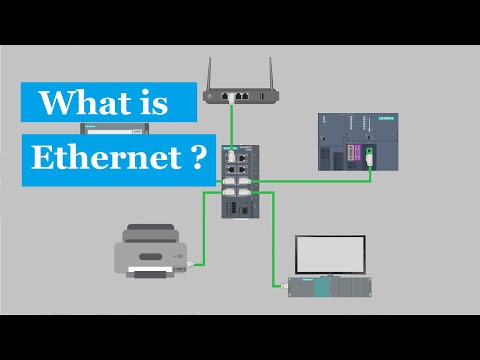 Video: Cos'è iee nell'ambiente?