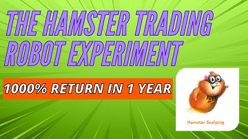 Trading Robot Experiment - Can we make 1000% return trading Forex with Hamster Scalping?