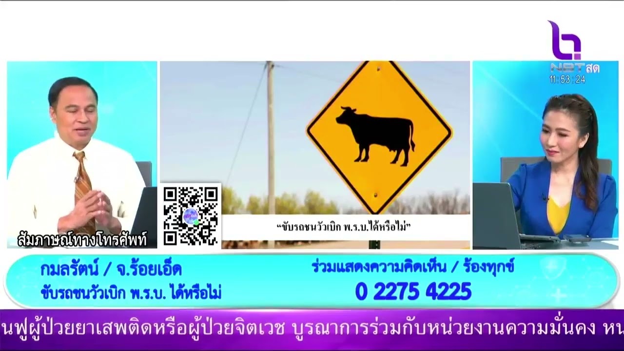 ขับรถชนวัวเบิก พ ร บ ได้หรือไม่ NBTรวมใจฯ 12 มิ.ย.66 #NBT2HD