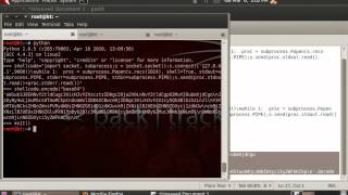 Python IDS Evasion Reverse Shell (Oneliner) - One Request Ownage with Mutillidae