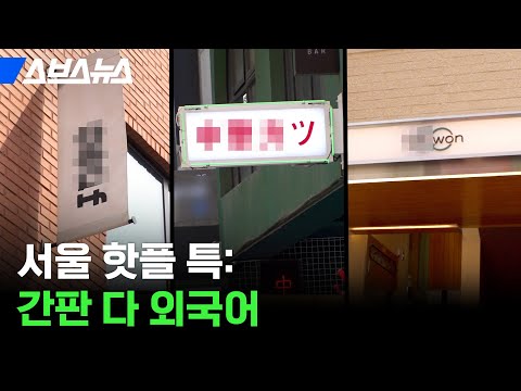 내가 갔던 감성 카페 알고 보니 불법이라고 스브스뉴스 