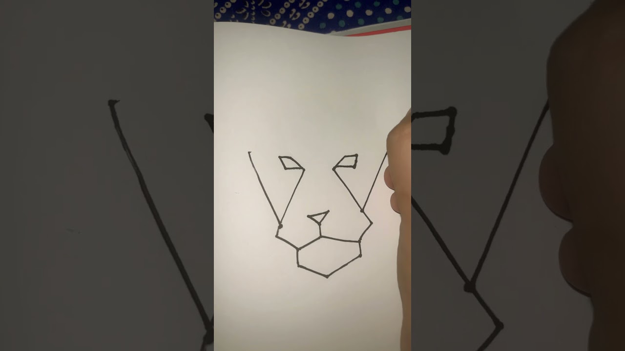 How to draw a lion using lines  