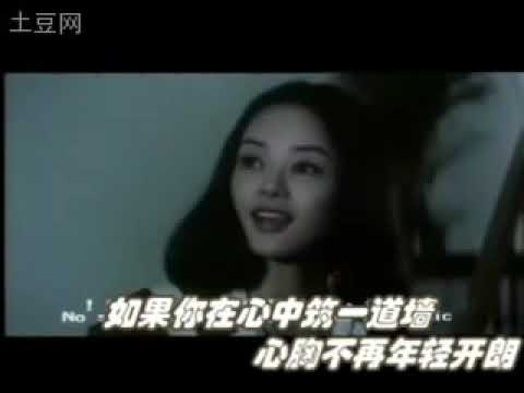 刘文正 Liu Wen Zheng 如果你在心中 mv