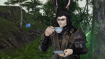 Where to farm Island Log and Tree Resin (6.3) - FFXIV