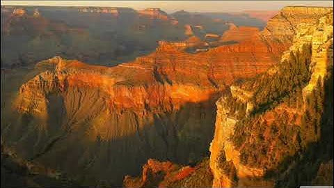 109 سورة الكافرون | القارئ احمد تميم المراغي