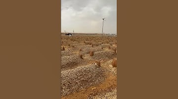 إنك ميت وإنهم ميتون | ما تيسر من سورة الزمر |تلاوة خاشعة| #القارئ_هيثم_الدخين