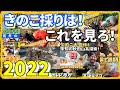 きのこ採りのコツは！この動画をみれば！すぐ分かる２０２２総集編