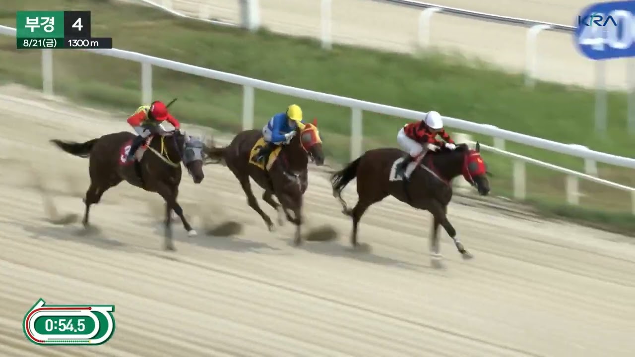 박재이 기수.3.4경주 연속 우승