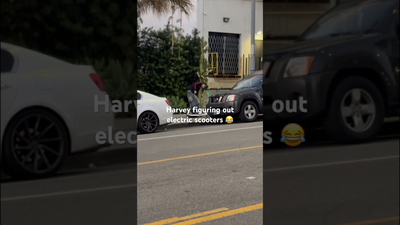 Riding fruit scooters