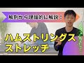 【解剖から理論的に解説】ハムストリングスストレッチ