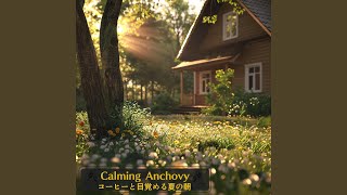Breezy Beginnings Harmony