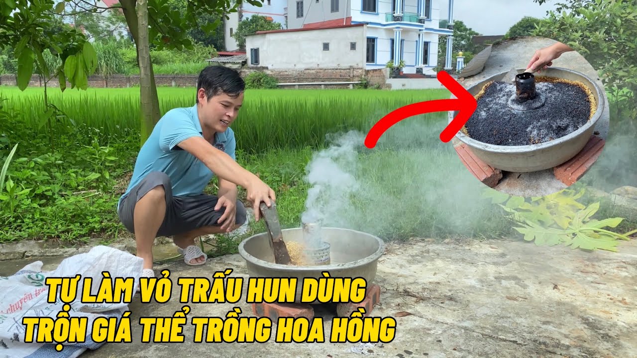 Tự làm vỏ trấu hun dùng trộn giá thể trồng Hoa Hồng cực tốt