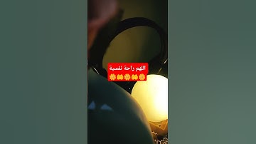 اللهم راحة نفسية #القرآن_الكريم #راحة_نفسية #تلاوة_خاشعة #اكسبلور #الله #صلوا_على_النبي