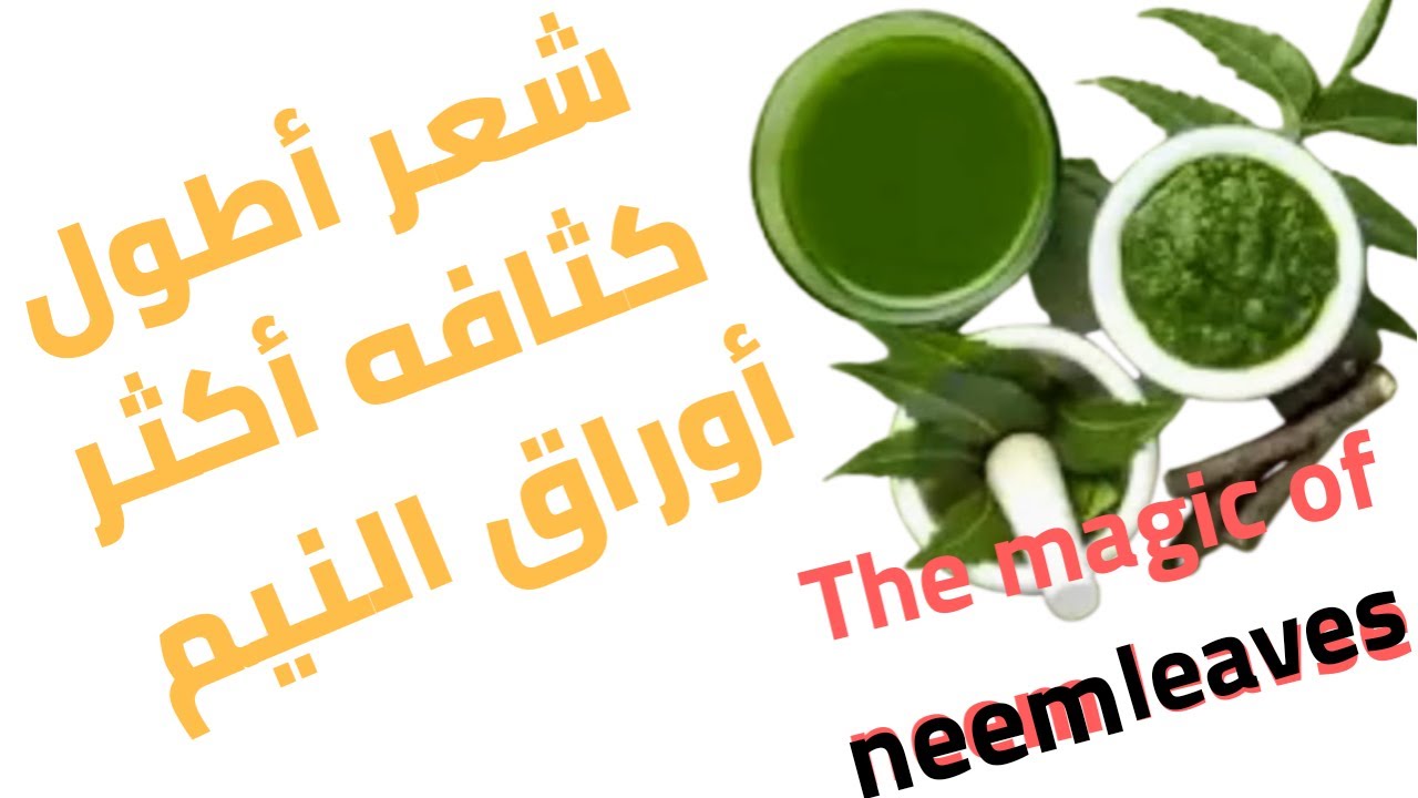 عشبة النيم