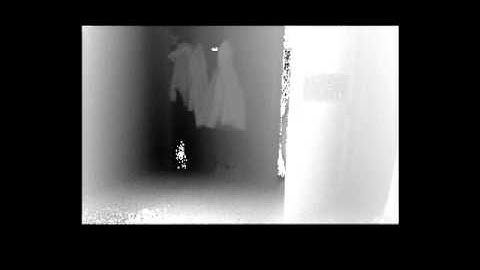 Acquisition of dynamic 3D scenes via Time-of-Flight cameras