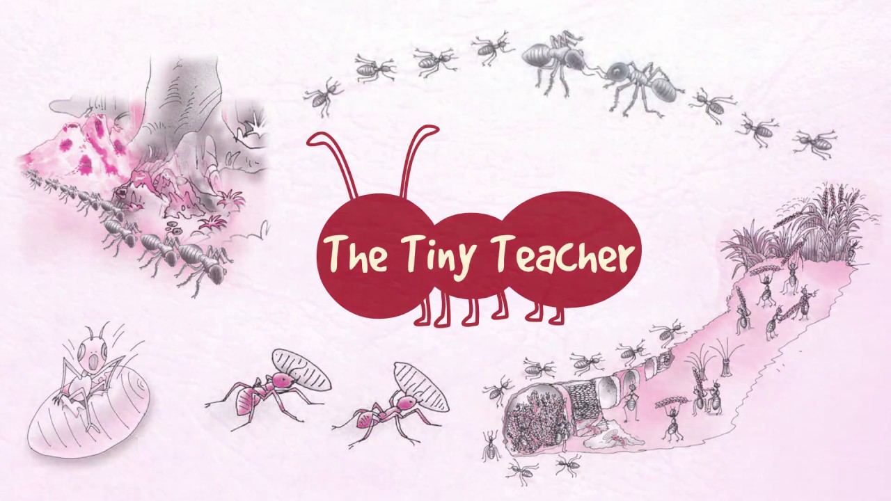 CBSE NCERT Class VII Chapter The Tiny Teacher YouTube cbse-ncert-class-vii-chapter-the-tiny-teacher-youtube