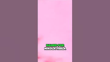 Elon Unleashes Shocking Facts 🚀💡