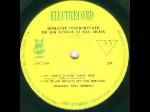 Mia Braia — Mia Braia-De ti-am gresit iti cer iertare