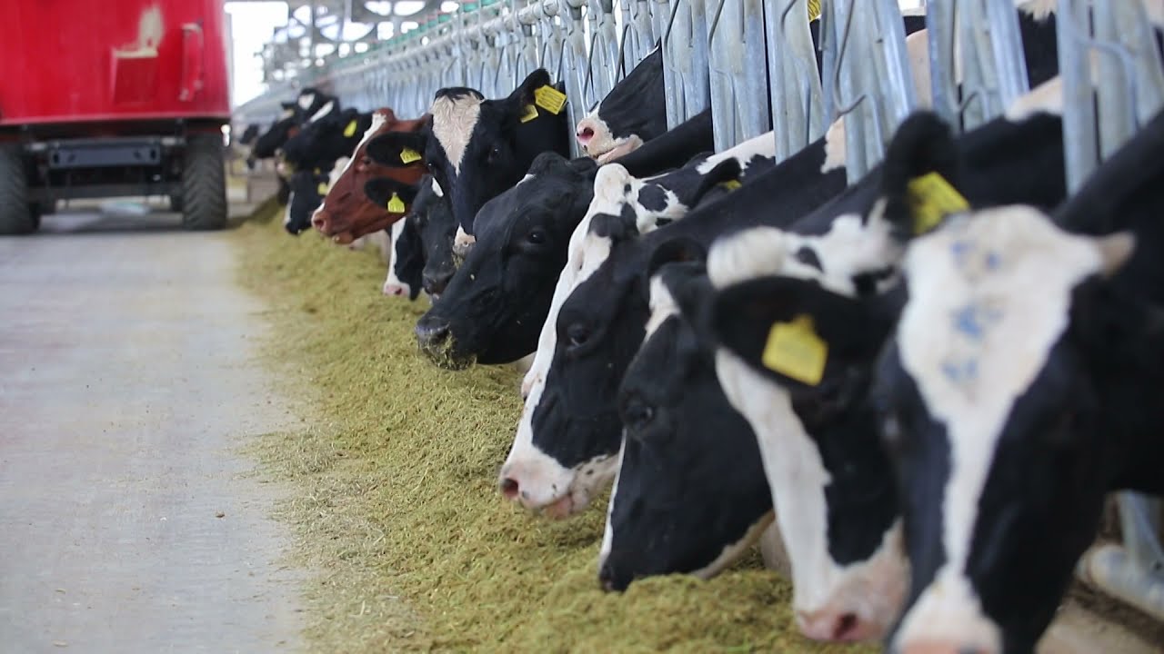 BALA TARIM TANITIM FİLMİ