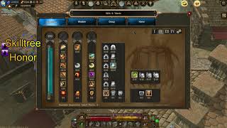 Drakensang Online Warrior PVP dmg build + bonus