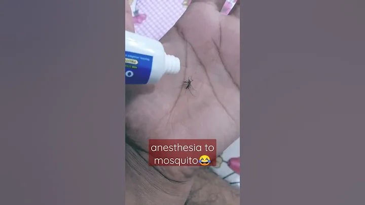 mosquito vs odomos wait for end😂😂😂#subscribe for more#odomos #mosquitokillerlamp - DayDayNews