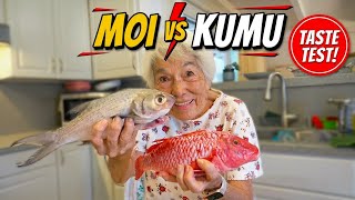 Night Diving / Night Fishing!  Cooking with Grandma! 