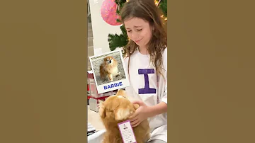 People Reacting To The Best Gift After Losing Their Pets Cuddleclones Petloss Grief 