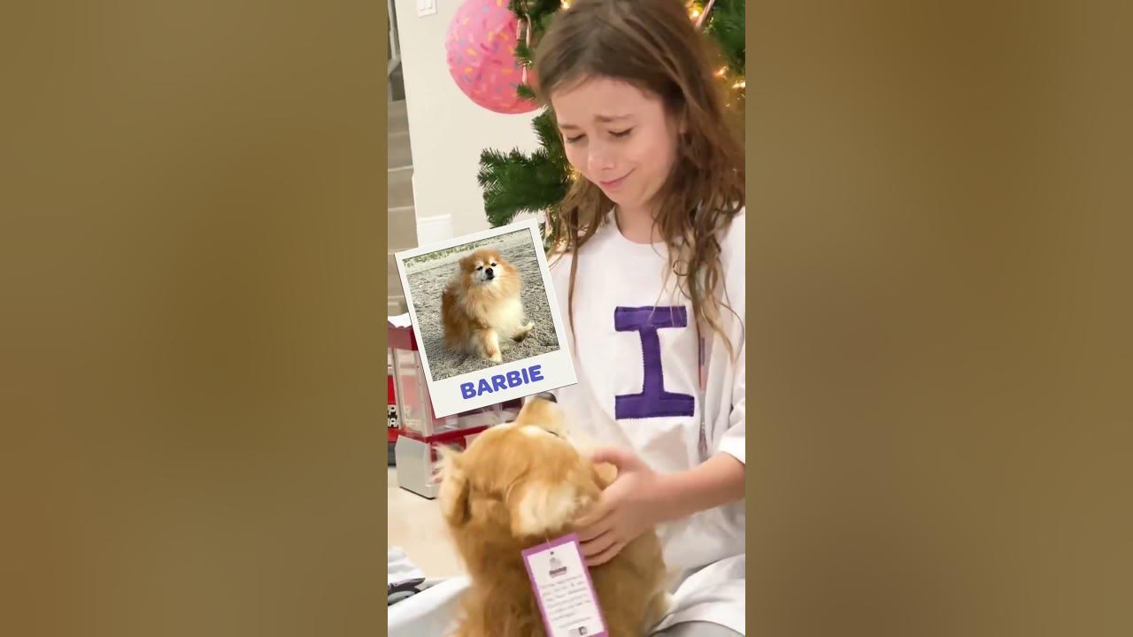 People reacting to the best gift after losing their pets 🥹❤️ #cuddleclones #petloss #grief People reacting to the best gift after losing their pets 🥹❤️ #cuddleclones #petloss #grief