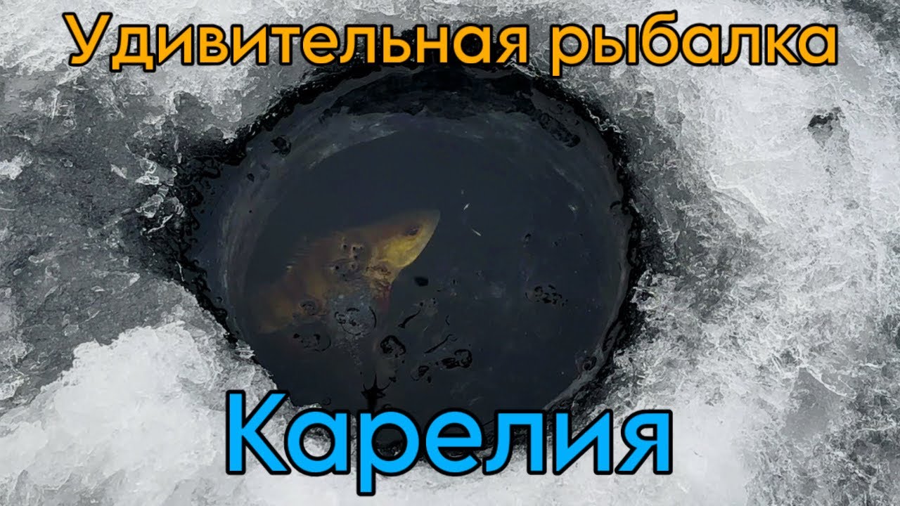 Окуни хватают приманку прямо в лунке! Рыбалка на Онеге. Карелия.